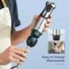 Hand Blender 1000W, Reemix 5-in-1 Electric Stick Blender, Copper Motor Stainless Steel Blade Stick Blender Mixer with Turbo Mode 3