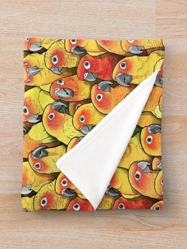 Sun Conures ���� ���, ǫ���� �ε巯�� ���