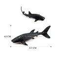 Whale Shark-2