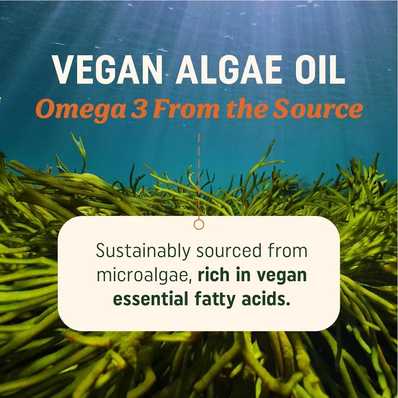 Pure Omega 3 algae oil Plant based DHA EPA non GMO overall health Fish oil substitute 60 capsules soft capsules