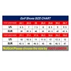 New Professional Golf Shoes Men Golf Sneakers Woman Comfortable Walking Footwears for Golfers Walking Shoes Size 36-47 2