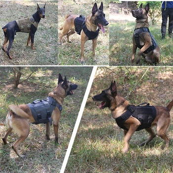 Tactical Dog Harness and Leash Set 5