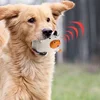 Pet dog vocal toy 2