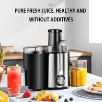 800W Household Juicer Machine Stainless Steel Centrifugal Juicer Extractor with Wide Mouth 2.56” Feed Chute for Fruit Vegetable