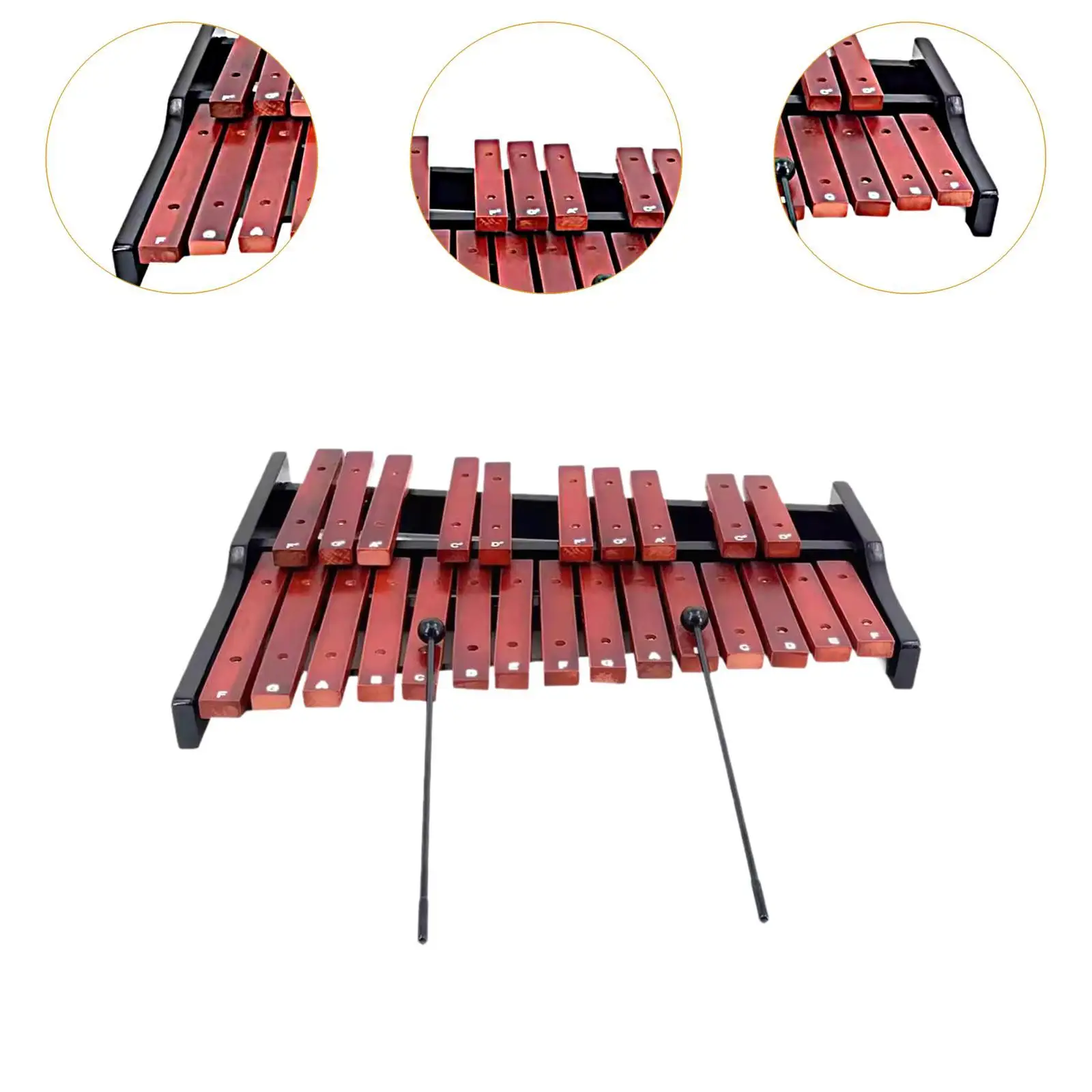 25 Scales Xylophone Montessori for Live Performance Event School Orchestras