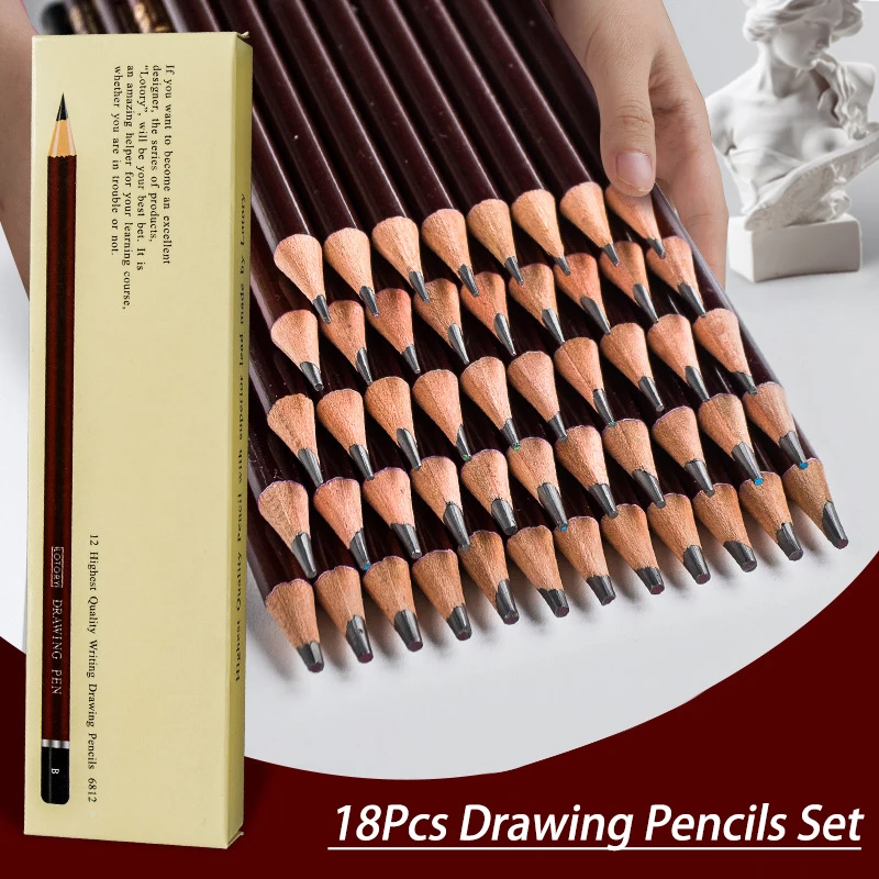 Professional Drawing Sketching Pencil Set, 12 Pieces Art Pencils Graphite  Shading Pencils for Beginners & Pro Artists - AliExpress