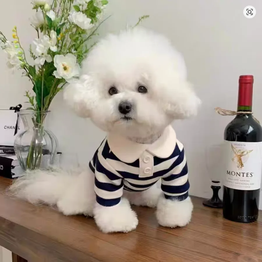 1개입 3컬러 스트라이프 애완동물 폴로 셔츠, 소형견 및 고양이용 부드럽고 통기..