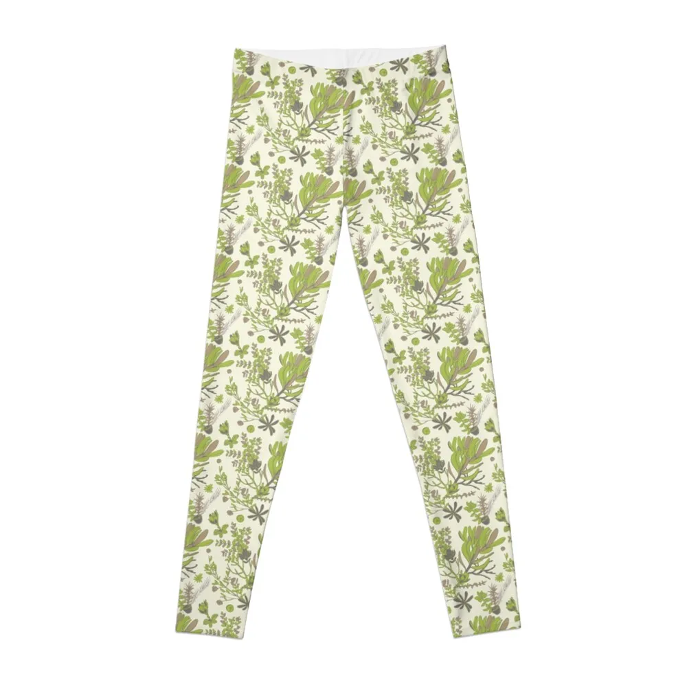 

Cradle Mountain Adventure Botanics Leggings Female legging pants for physical Sweatpants Womens Leggings