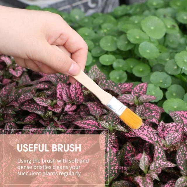 Juego de herramientas de jardinería para plantar bonsái, miniherramientas de mano para suculentas, piezas, 12 unidades - Imagen 2