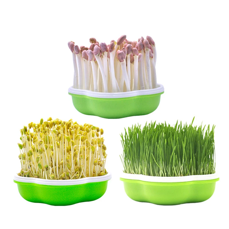 Garden Hydroponic Peanut Sprout Box Bean Pea Wheat Seedling Sprouter Tray Grass 5