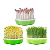 Garden Hydroponic Peanut Sprout Box Bean Pea Wheat Seedling Sprouter Tray Grass 5