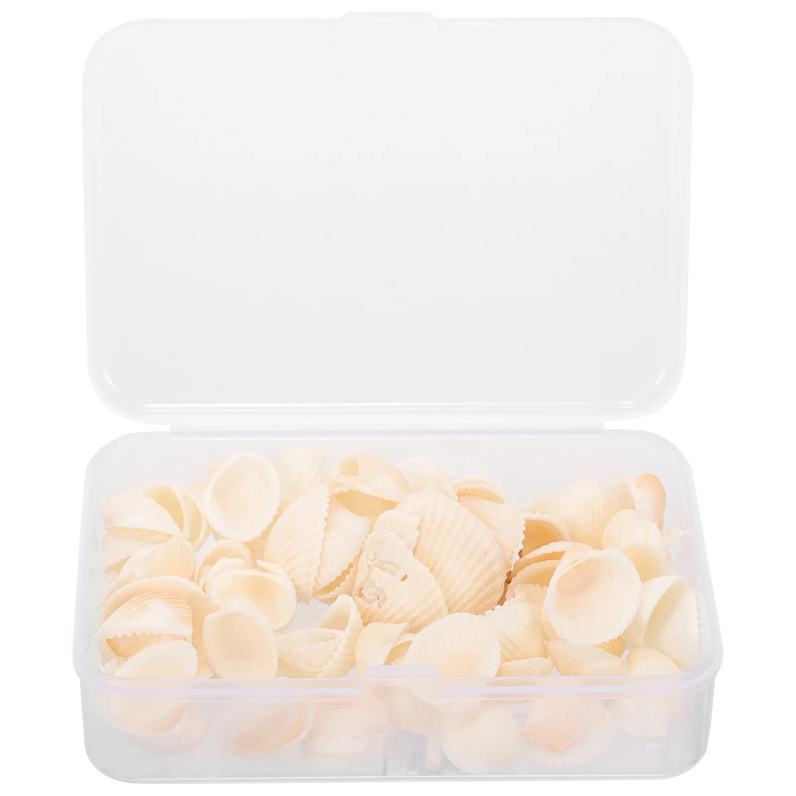 

DIY Shells Seashells for Crafts Small Decorating Decoration Natural Ornaments Home Accessories
