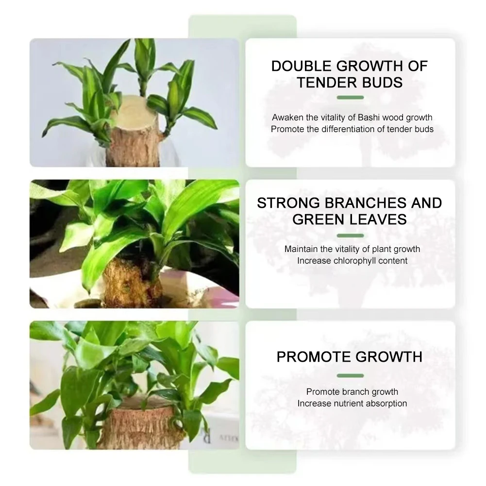 Hydroponic Brazilian Wood Nutrient Solution Easy To Absorb Wood Liquid Fertilizers For Hydroponic Growing Flower Grow Nutrient