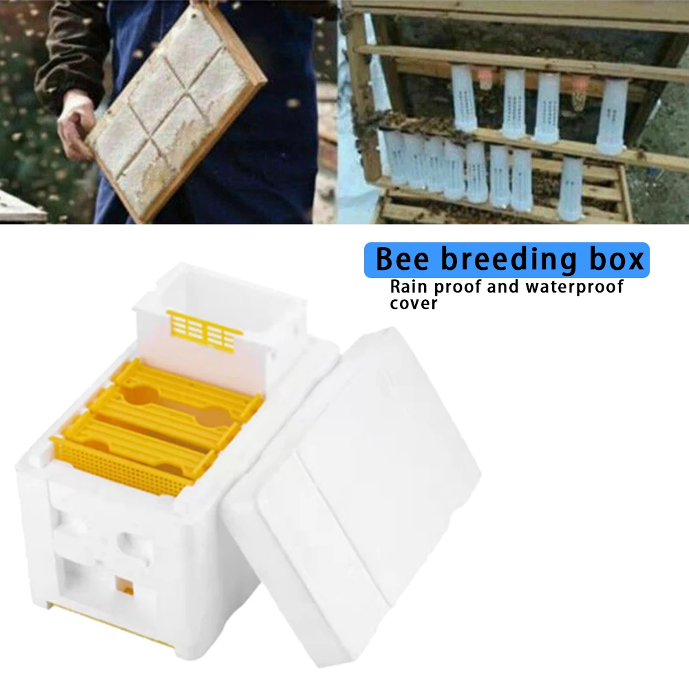 King Beehive Garden Bee Keeping Bee Tool Nest Case Bee Hive Frame Holder Equipment Kit Bee Hive Foam Beekeeping Box