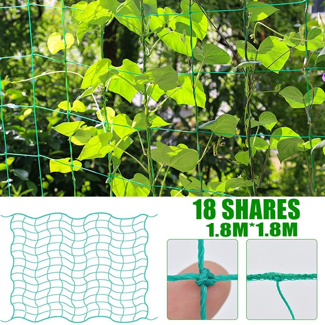 18 Share(1.8x1.8m)