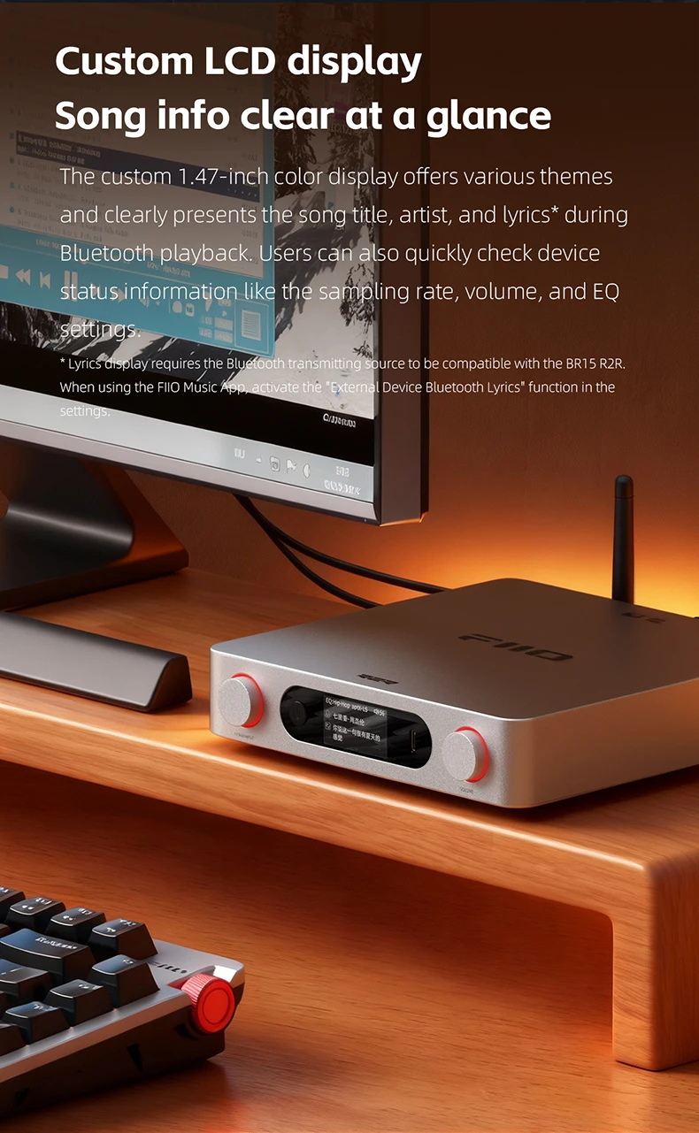 FiiO BR15 R2R Inputs