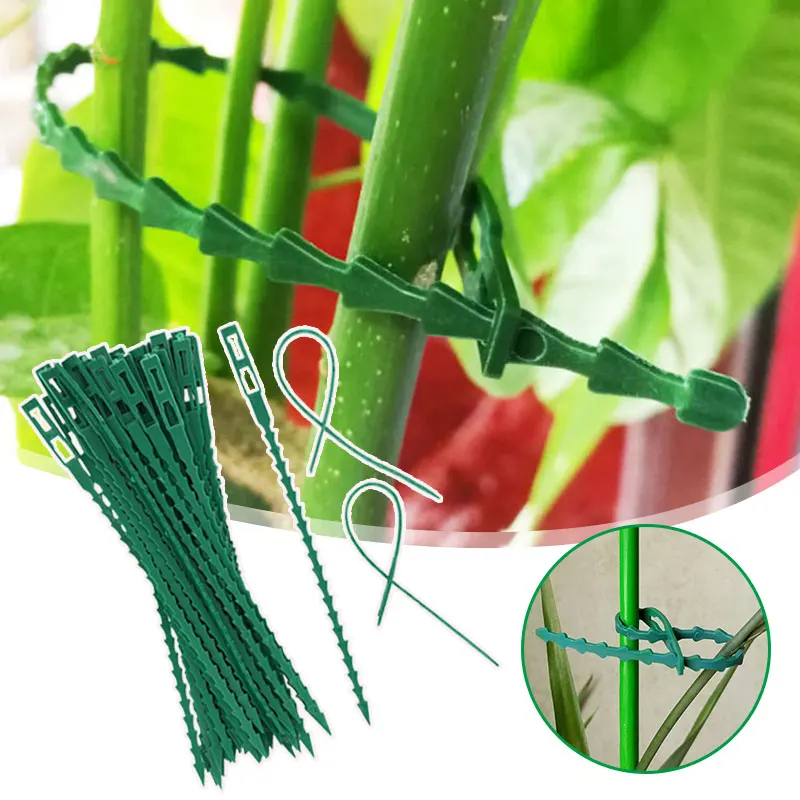 20-200PC Plastic Plant Support Clips Reusable Plant Vine Connects Fixing Tool Vegetable Tomato Grafting Protect Garden Supplies