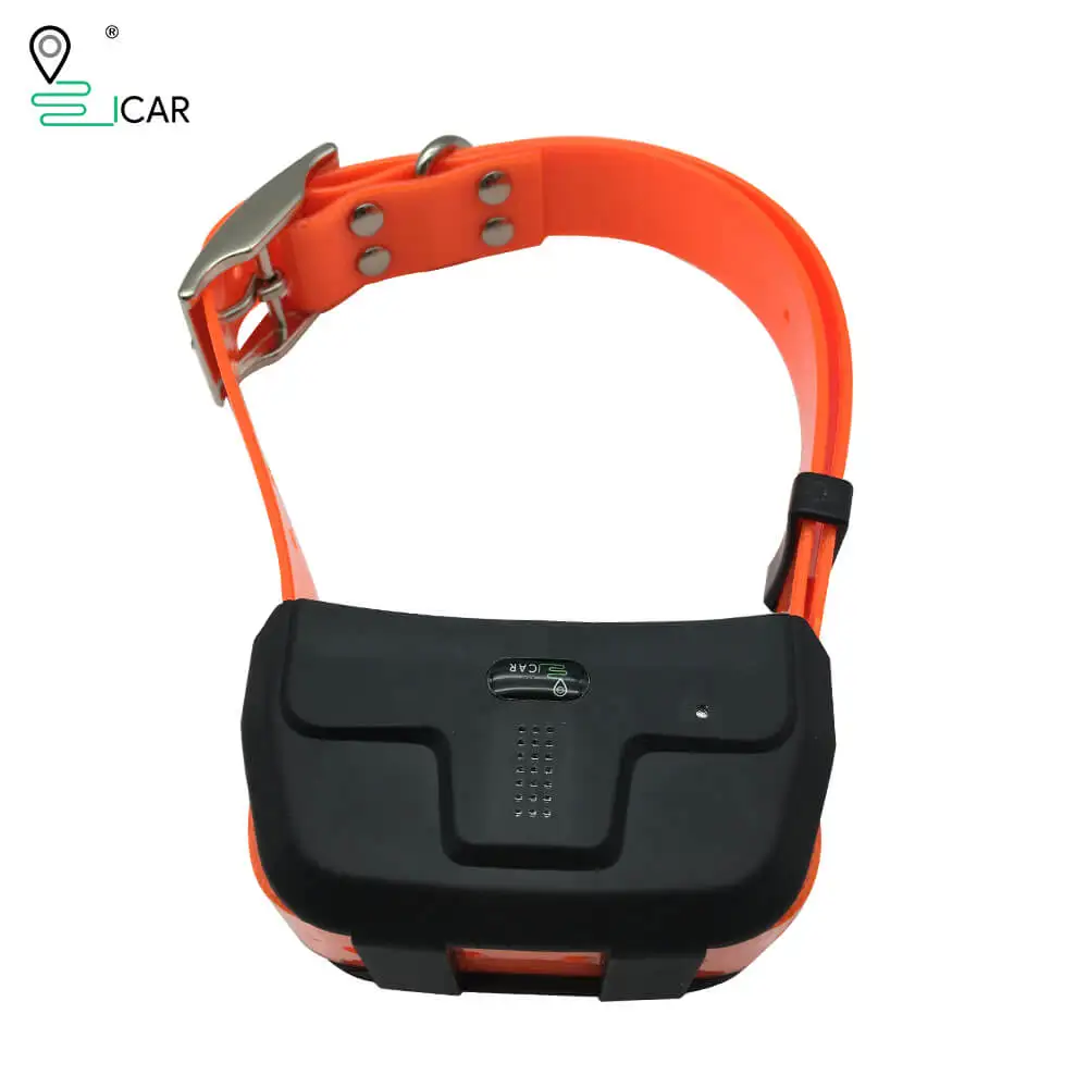PETRACK™ : Traqueur GPS pour animaux