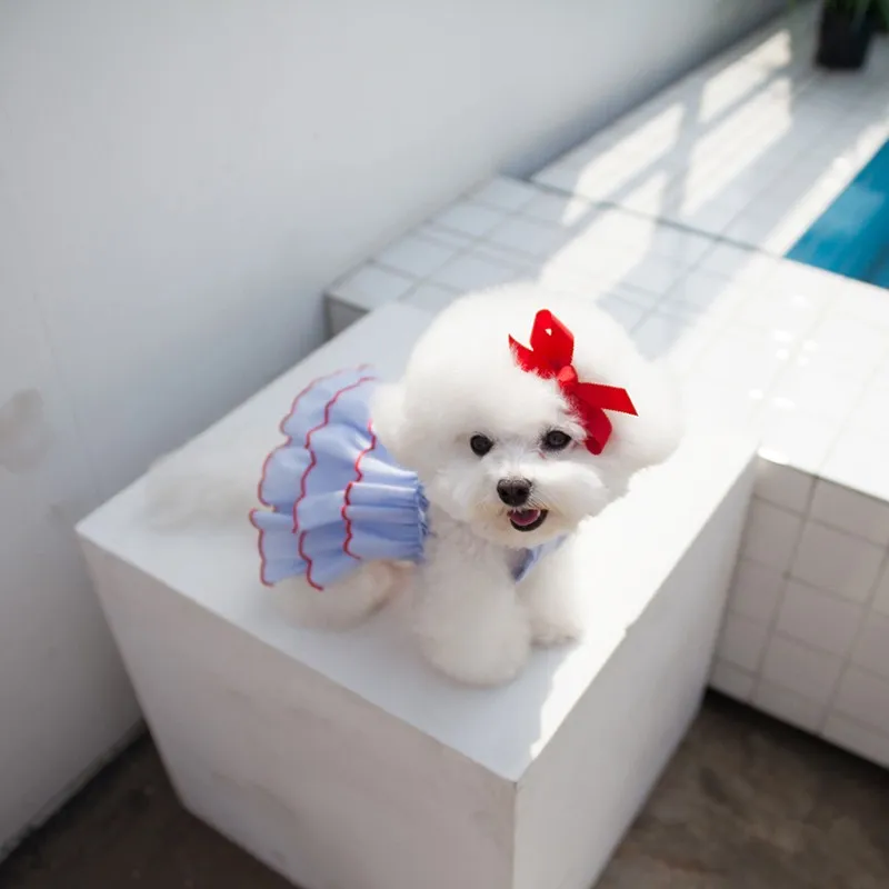Summer Pet Dog Dress Skirt Thin Mesh Dogs Clothes For Small And Medium Chihuahua French Bulldog Yorkshire Costume Perro