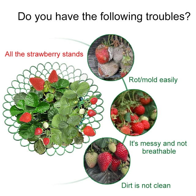 5PCS Strawberry Supports 3 Sturdy Support Feet Keeping Plant Fruit Stand Vegetable Growing Rack Garden Tool 4
