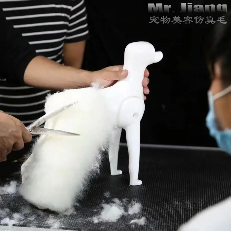 Mr. Jiang-ペットのグルーミングウィッグ,学校の脚のエクササイズ用