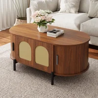 Table basse ovale avec portes coulissantes en rotin, pieds en métal couleur bois, table de rangement multifonctionnelle pour salon 4