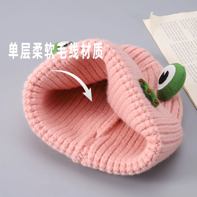 New Japanese Streetwear Harajuku Beanie Frog  Knitted Hat Women Autumn Winter Cute Frog Cap 4