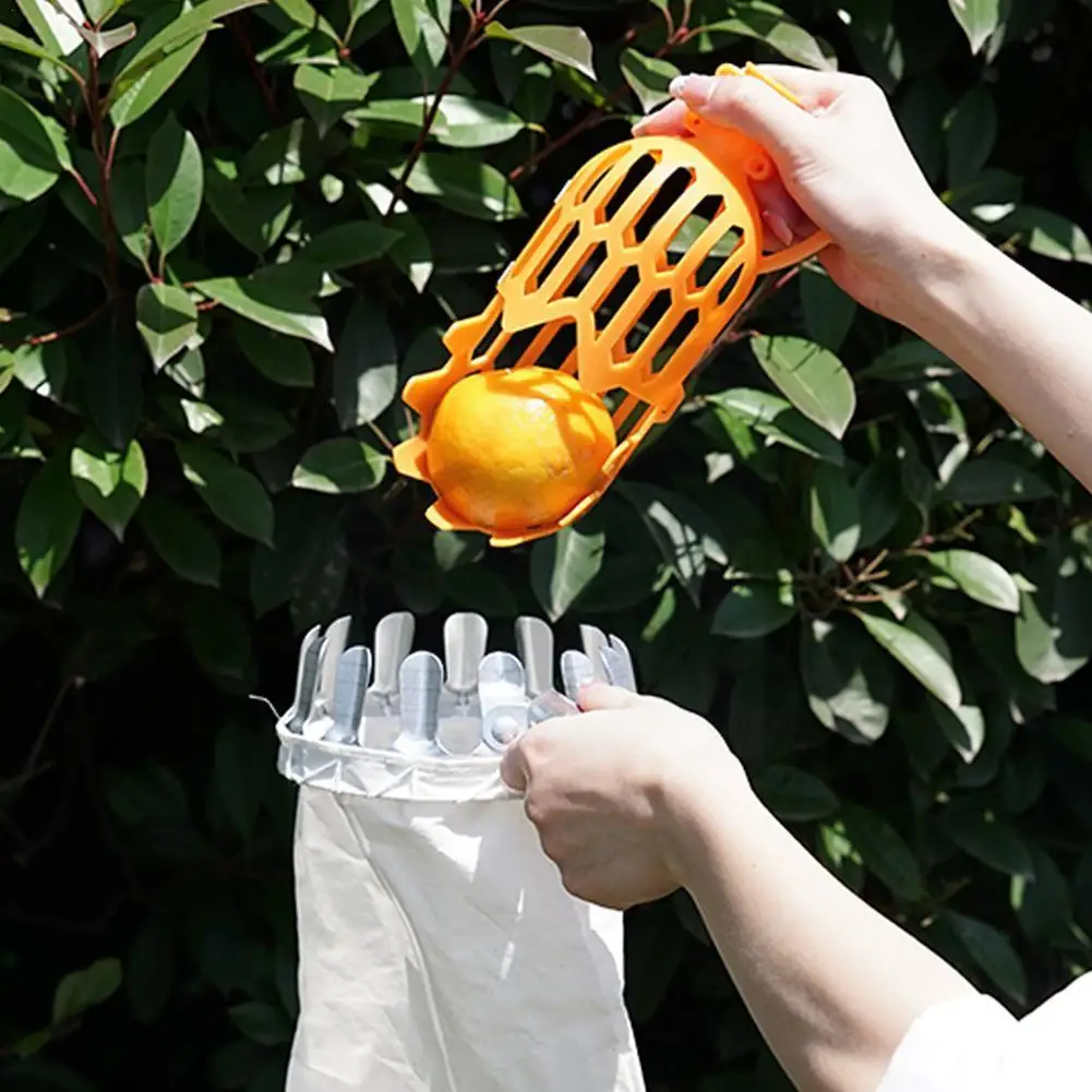 

Garden Basket Fruit Picker Head Plastic Fruit Picking Bayberry Tool Loquat Picking High-altitude Tool Fruit Picking Picker I9K3