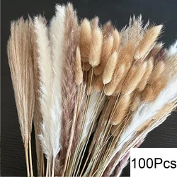Boho Dried Pampas Grass Bouquet for Home and Wedding Decor (A-100PCS)