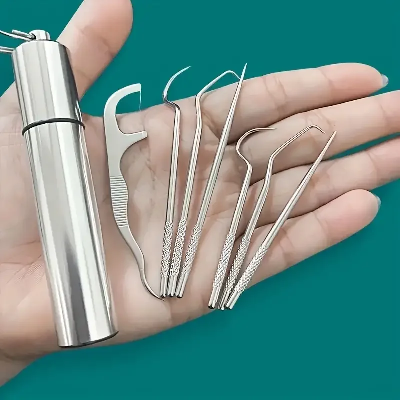 

304 Stainless Steel Dental Floss Set Key Chain Toothpick Dental Remover Set Portable Storage Cartridge Oral Cavity Cleaning Tool