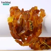 Natural Baltic Amber Beads - Untreated Yellow Honey Color for DIY Jewelry Making, Healing Crafts, Fossil Gemstone Collectors 2