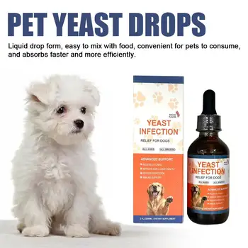 Healthy dog coat after using skin and coat care drops