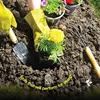 Garden Tool Kit, Indoor And Outdoor Garden Tool Kit, As Shown Pruning Shears,Hand Rake 5