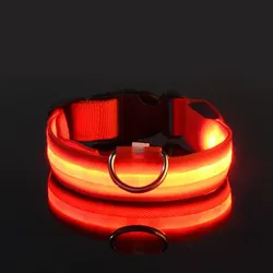 Luminous LED Night Safety Glow Dog Leash and Collar - L (Red)