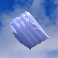 free shipping 36sqm large pilot kite flying inflatable kite parachute kite pendant professional kites and rays octopus kites koi 2