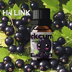 10ml Fruity Essential Oils for Crafting and Aromatherapy with Long - Lasting Scent (Blackcurrant)