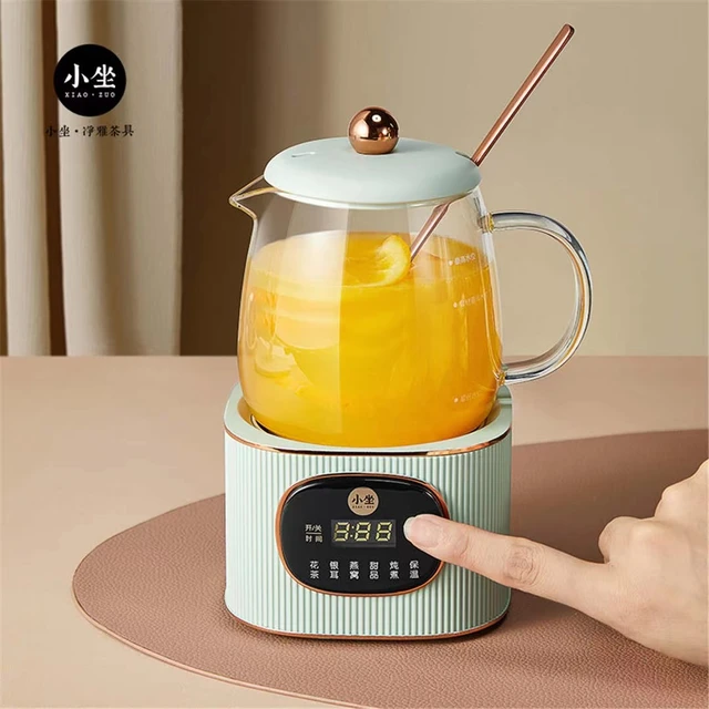 Multi-functional teapot health pot Home office automatic tea maker