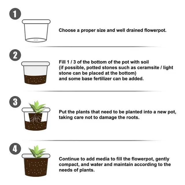 Gyökérzetű Tápanyagpor Víz Oldódó Gyökérpor A Dugványok Fokozóként Elősegíti Gyökérnövekedést Palánták Számára. - Image 2