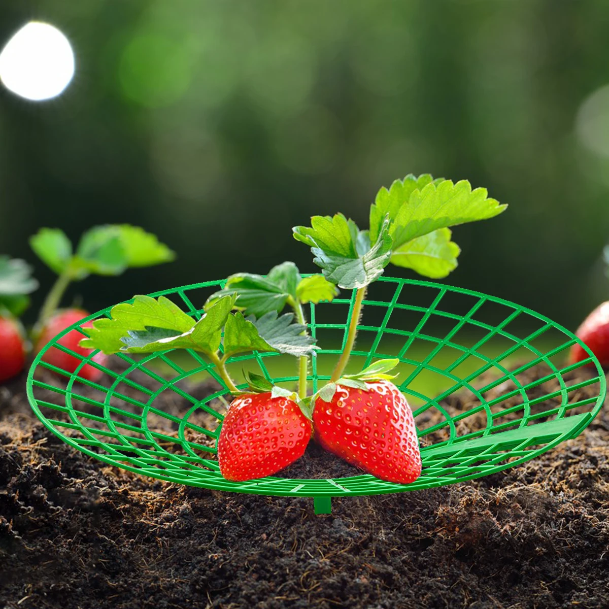 10Pcs Strawberry Plant Supports with 3 Sturdy Legs Strawberry Growing Racks Protector Frame Holder Cage From Mold Rot Dirt plastic plant supports