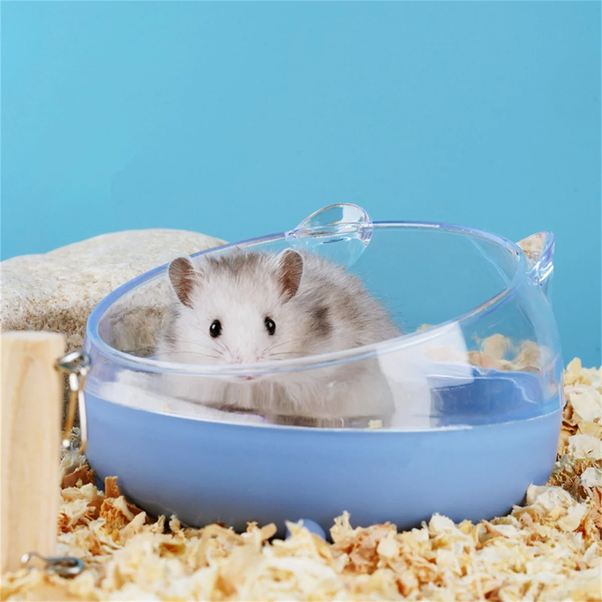 햄스터 욕실 하우스 샌드박스, 완전 투명 소변 모래 대야, 골든 베어 용품, 모래 목욕 용기, 작은 애완 동물 욕실
