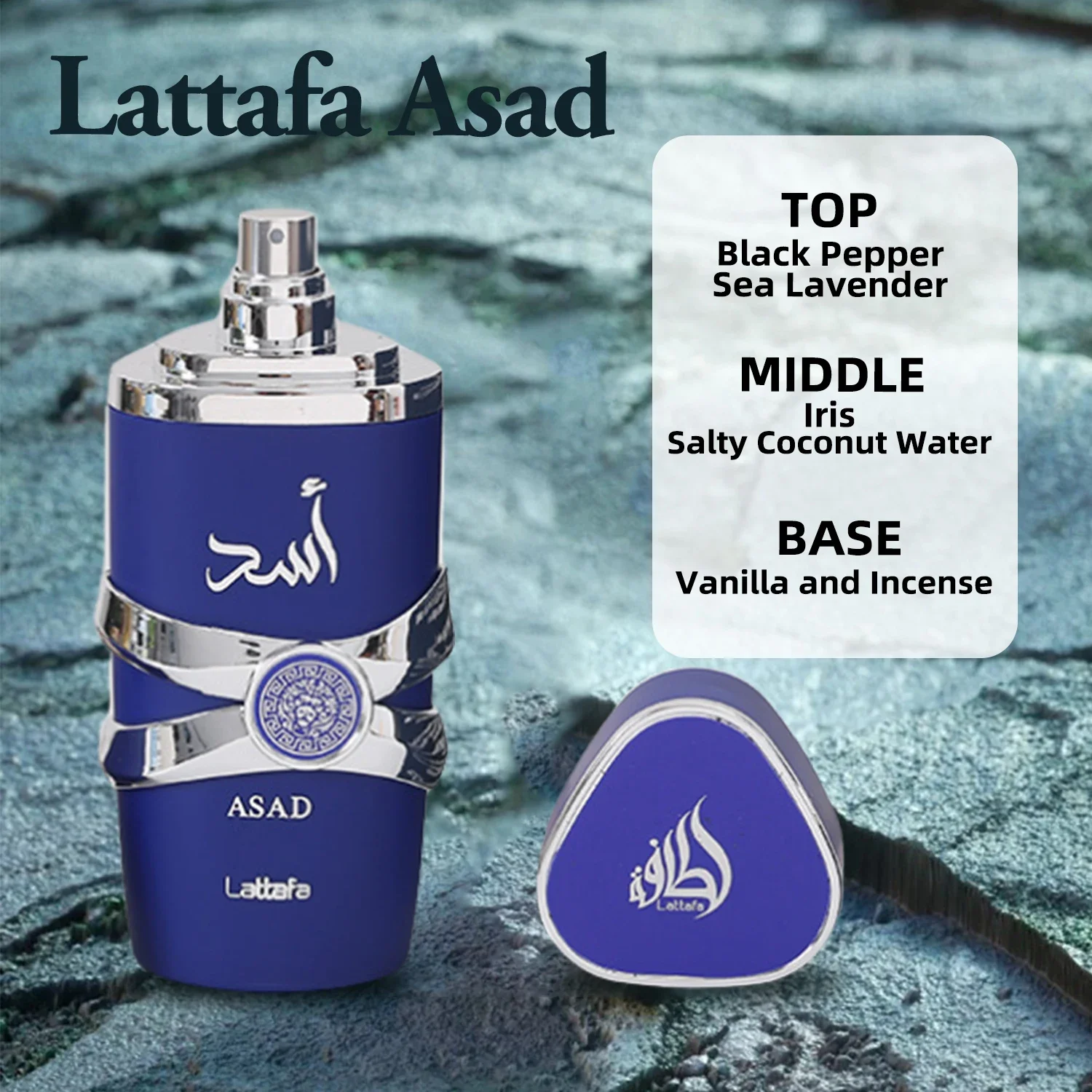 Lattafa Asad Zanziba