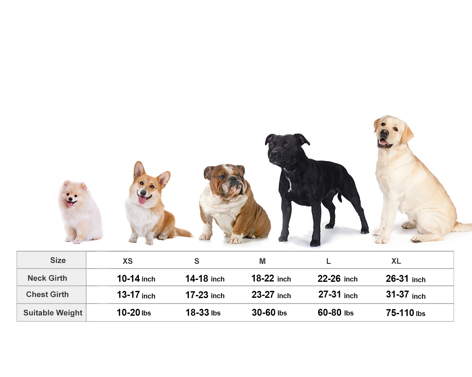 Dog Thunder Vest XS-XL 3
