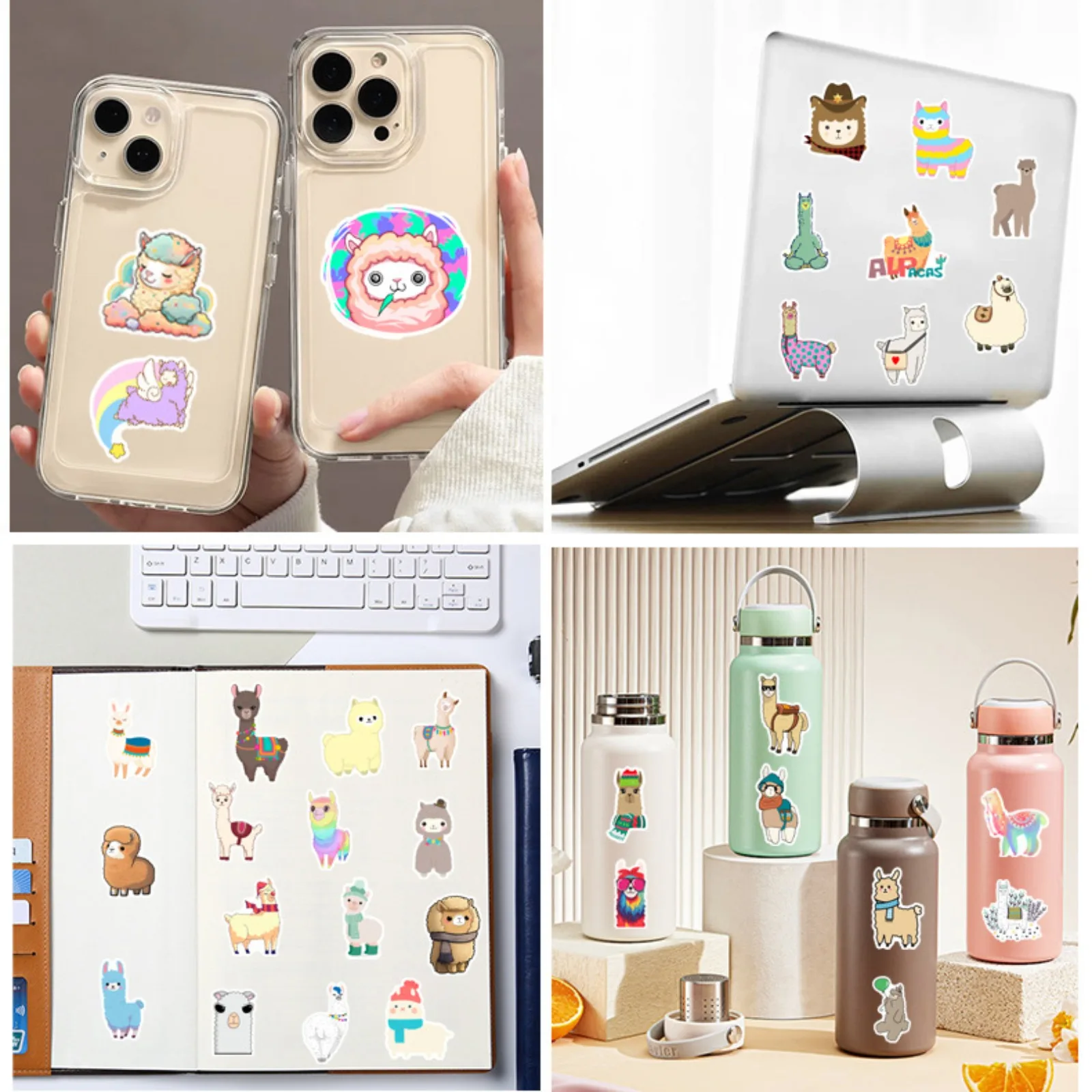 dsc-products