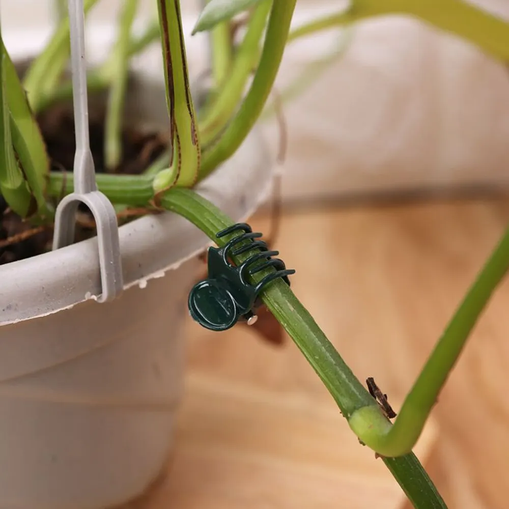 Plastic Plant Clips Plant Clips Plastic Plant Supports Plant Stem Support Plant Ties Plant Support Connector Plant Support Stick 100pcs Garden Plant Clips Plastic Support Orchid Stem Clip for Vine Vegetables Flower Tied Bundle Branch Clamping Garden Tool
