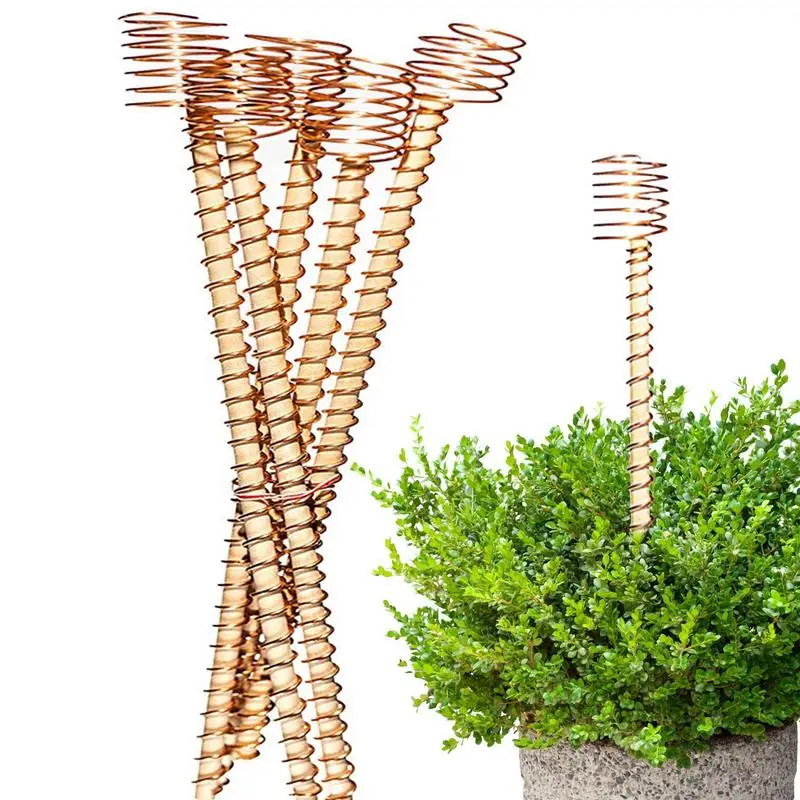 Picchetti Per Piante Di Elettrocoltura Antenne A Spirale In Rame Palo In Legno Per Fiori Vegetali Crescita Vegetale Etere Forniture Per Il Giardinaggi