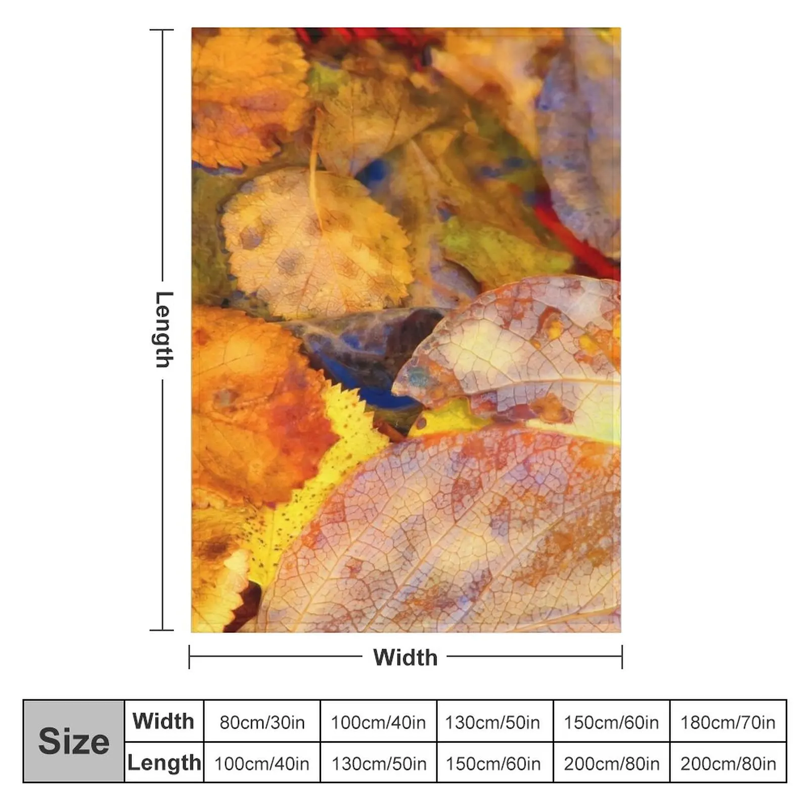 ���Ŀ� ���� ������ ������ ���, ��� ǫ���� ���� ķ�� ����� �� �ʼ�ǰ ���