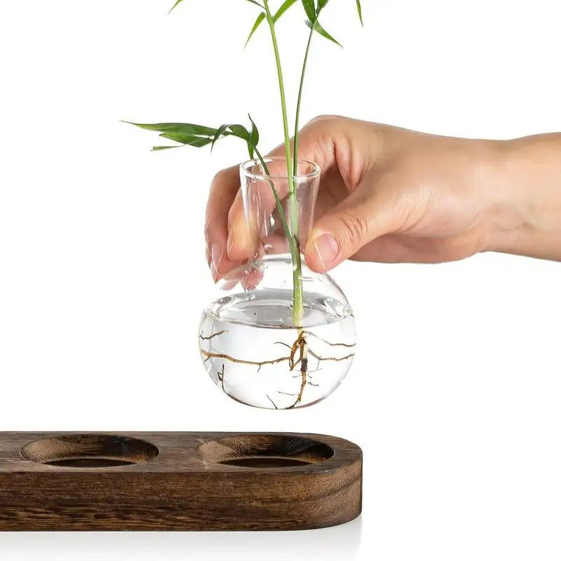 5 Bottle Glass Propagation Planter 3 | 5 Bottle Glass Propagation Planter 2