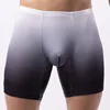 Mens Boxer Shorts Ice Silk Gradient Color Men Panties Seamless Sexy Underwear Man Underpants Panties Male Ultra-thin Breathable 1