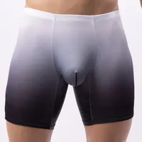 Mens Boxer Shorts Ice Silk Gradient Color Men Panties Seamless Sexy Underwear Man Underpants Panties Male Ultra-thin Breathable 1