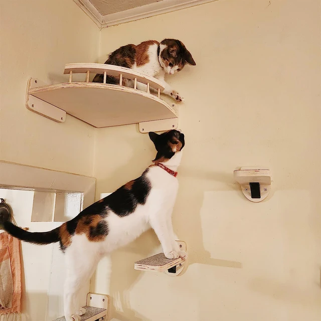 Cat Corner Shelf with 3 Steps Set Wall Mounted Cat Bed Perches Hammock for Sleeping Climbing Scratching Pet Wooden Furniture Cat Corner Shelf with 3 Steps Set Wall Mounted Cat Bed Perches Hammock for Sleeping Climbing Scratching Pet Wooden Furniture